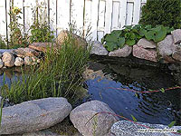 Construire un filtre naturel pour bassin de jardin - Comment aménager une cascade de jardin en pierre - DIY Cascade de bassin