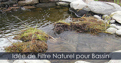 Filtre Bassin - Filtrer l'eau d'un bassin - Contrôle des algues de bassin - Éliminer les algues - Cascade filtrante pour bassin