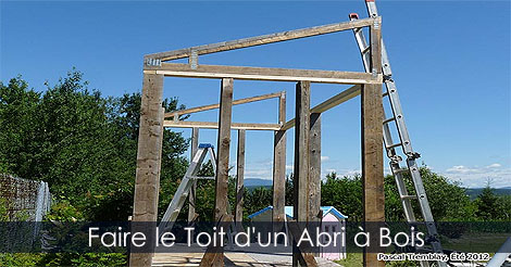 Construire une shed à bois - Construire un abri à bois - Construire une remise à bois - Abri pour le bois de chauffage