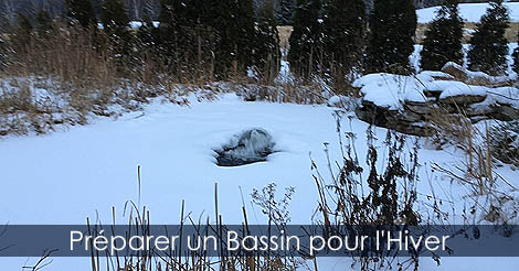 Préparer un bassin pour l'hiver - Bassin de jardin en hiver - Poissons de bassin en hiver - Déglaceur pour jardin d'eau - Hiverner bassin