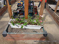 Serre de Jardin Photos - Construire des bacs en bois pour serre de jardin