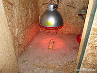 Comment s'occuper des poussins - Installer une éleveuse au poulailler - Lampe chauffante pour éleveuse à poussins - Construire une pousssinière