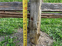 À quelle hauteur installer les perches d'une clôture de jardin - Installer une clôture de perches