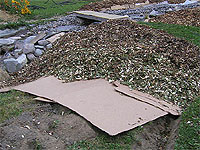 Plate-bande facile à faire - Étapes pour aménager une plate bande - Journaux et cartons pour tuer les mauvaises herbes