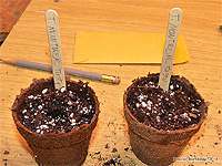 Bâtonnets pour identifier semis