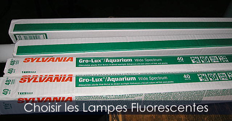 Lampes fluorescentes - Éclairage pour les semis intérieurs