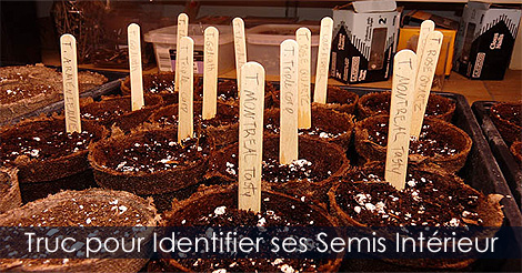 Identification des semences pour la culture des semis intérieurs