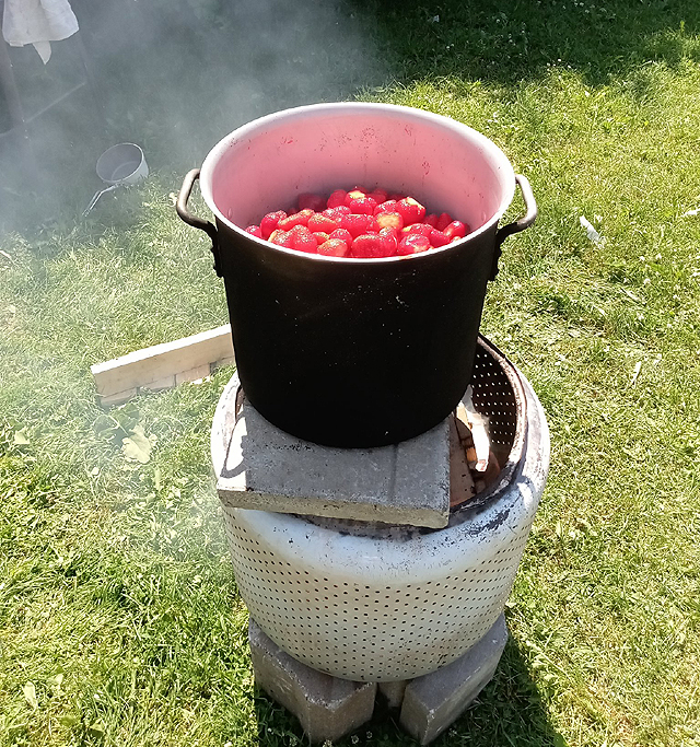 Bouillir ou cuire les fraises