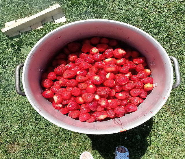 Confitures de fraises