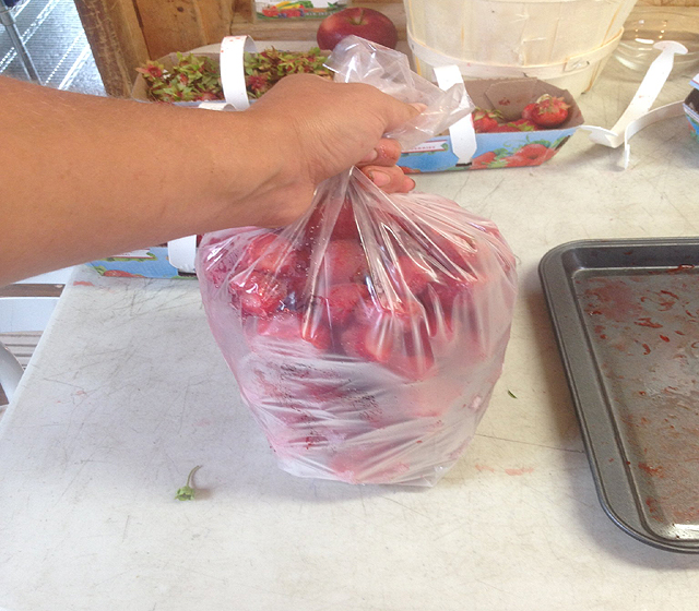 Sacs à congélation pour les fraises