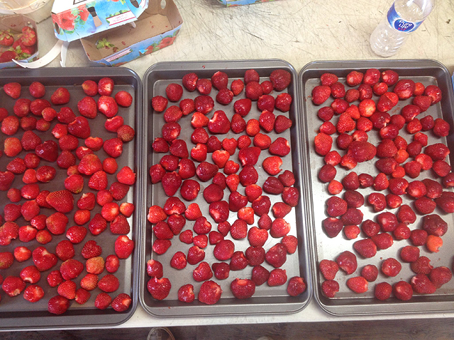 Conserver les fraises