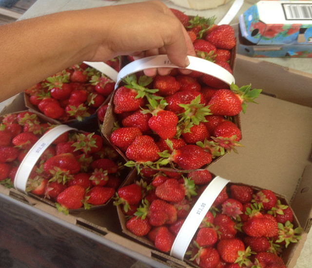 Valeurs nutritives des fraises