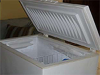 Congeler les fraises