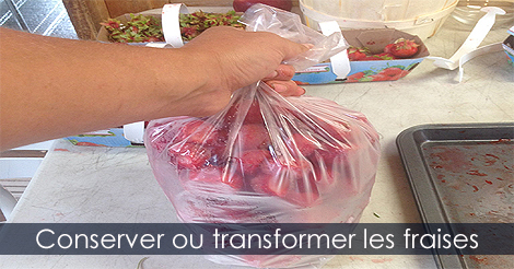 Transformation des fraises