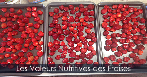 Composition nutritionnelle des fraises