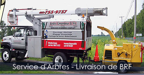 Service d'arbres - Déchiquetage des branches utilisées pour faire du bois raméal fragmenté