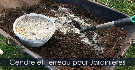 Cendre dans le terreau pour contenants fleuris