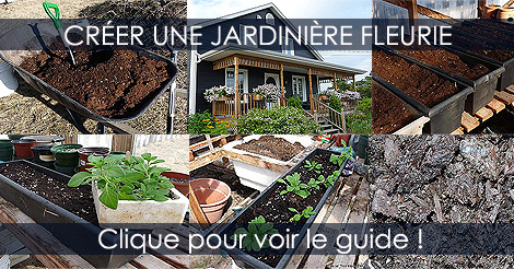 Plantation d'une Jardnière de fleurs - Créer une jardinière ou pot fleuri