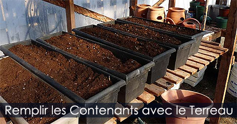 Planter un bac à fleurs - Remplir les pots bacs ou jardinières avec le terreau d'empotage pour fleurs annuelles