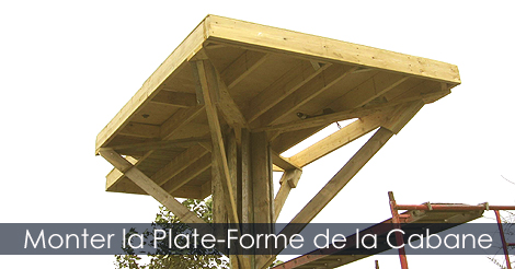 Cabane dans un arbre - Plate-Forme