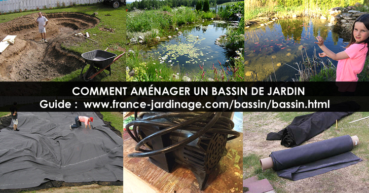 Jardin d'eau - Bassin de Jardin Les Étapes d'Aménagement