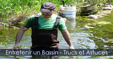 Entretenir un bassin de jardin Trucs et astuces - Avoir une eau claire dans un bassin - Se débarasser des algues dans un bassin