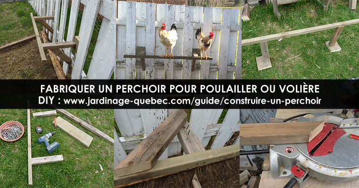 Perchoir pour Poulailler