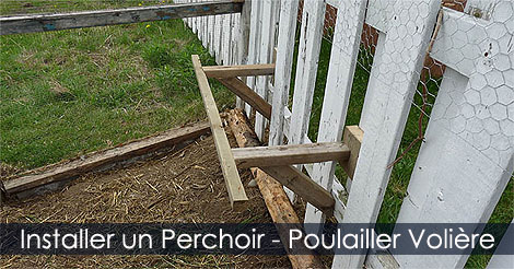 Perchoir Poulailler - Installer un Perchoir dans un Poulailler ou dans une Volière - Hauteur pour installer un perchoir