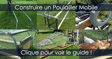 Construire un Tracteur à Poules