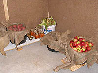 Ranger les légumes en chambre froide - Fabriquer une chambre froide - récolte et entreposage des légumes