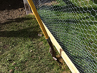 Enfouir du grillage sous une volière poulailler