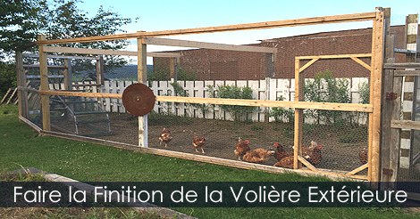 Comment construire une volière