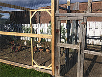 Plan de volière oiseaux