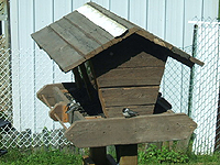 Toit mangeoire oiseau