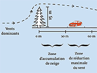 Réduction des coûts de déneigement - Haies Brise-Vent