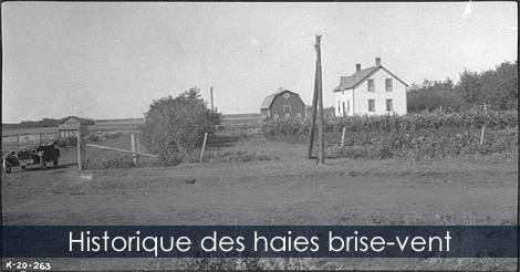 Historique des Haies Brise-Vent - Histoire