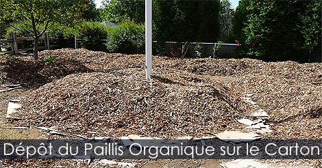 Déposer le paillis organique sur les cartons - Jardin Potager en façade Idée d'aménagement
