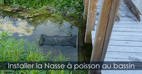 Installer nasse à poisson