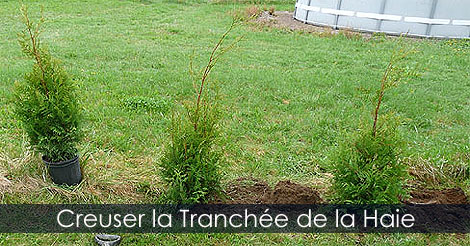 Tranchée cèdres - Creuser la tranchée de plantation d'une haie de cèdre - Comment planter des cèdres pour installer une haie