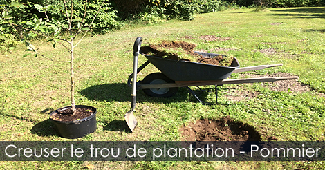 Planter un pommier - creuse le trou de plantation