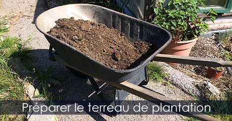 Terreau de plantation pour pommier