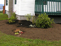 Planter une plate-bande