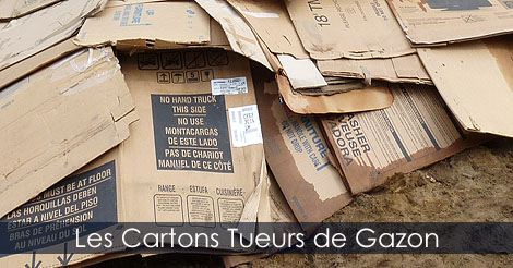 Conseils pratiques de jardinage - Utilisation de cartons pour la conception d'une plate-bande sans enlever le gazon - Recycler le carton au jardin - Photos de plates-bandes