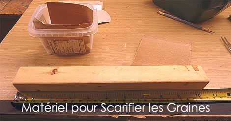 Matériel nécessaire pour pratiquer la scarification des graines et semences - Graines et plantes du jardin - Faire germer des graines