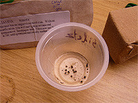 Faire tremper les graines