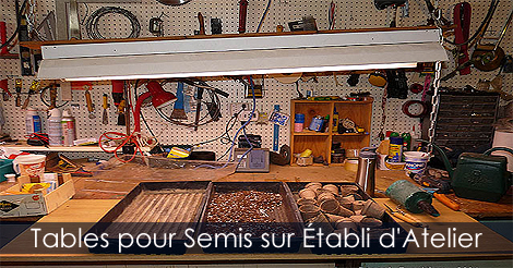 Table de Plantation pour les semis intérieurs