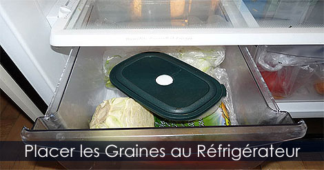Réfrigérer les graines ou semences pour les faire germer - Stratification simple froide des semences- Placer les graines au réfrigérateur