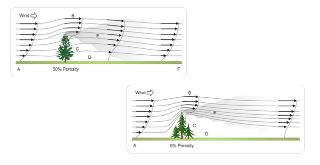 Porosité haie brise-vent