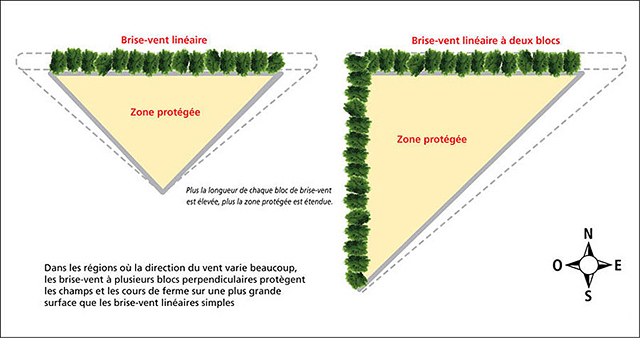 Orientation d'une Haie Brise-Vent