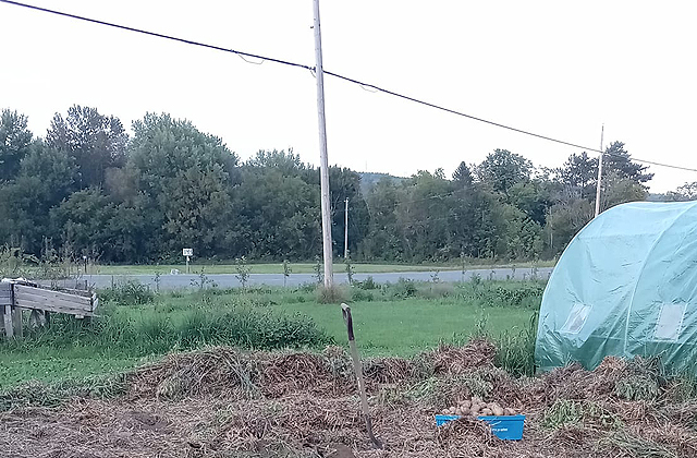 Plantation d'une haie fruitière - Haie brise-vent nourricière